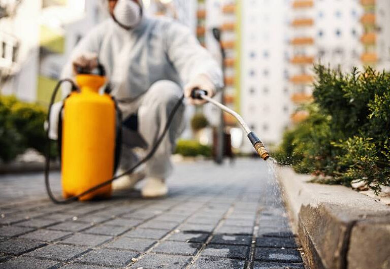 Dedetizadora em São Paulo: Como Proteger Sua Casa Contra Pragas Urbanas!